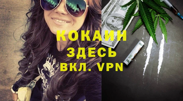 трава Аркадак