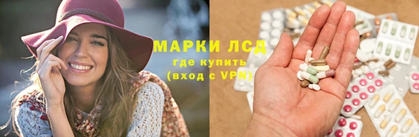 трава Аркадак