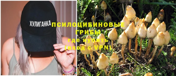трава Аркадак