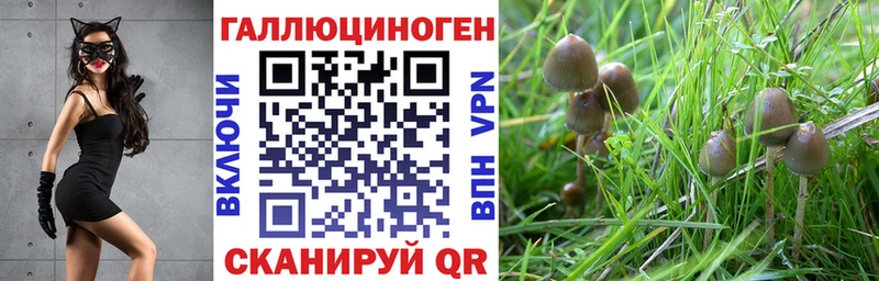 Галлюциногенные грибы мицелий  даркнет сайт  маркетплейс формула  Октябрьск 